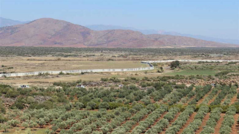 Les mercenaires pro-turcs imposent des taxes pour la récolte des olives